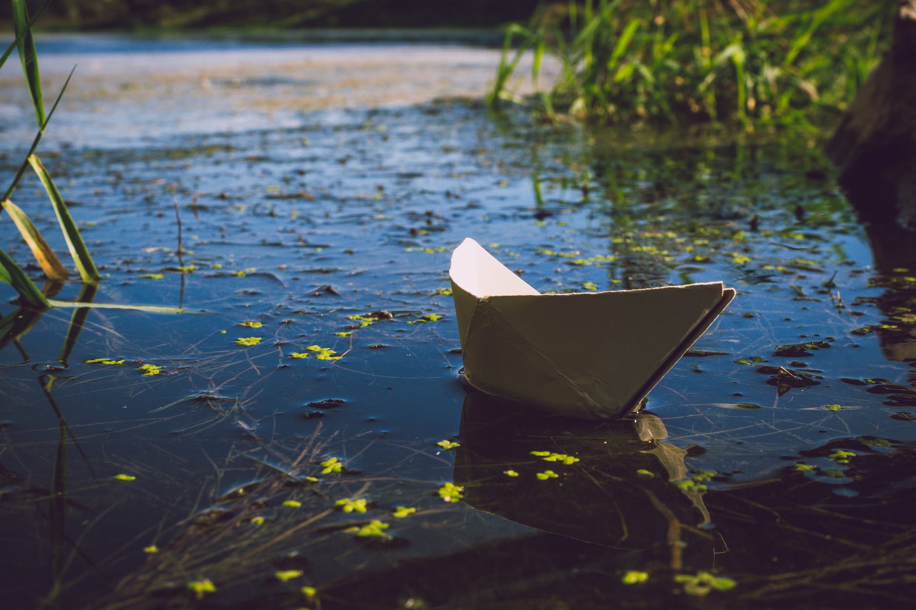 photo of white paper boat on body of water